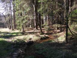 Resize of PICT0076.JPG